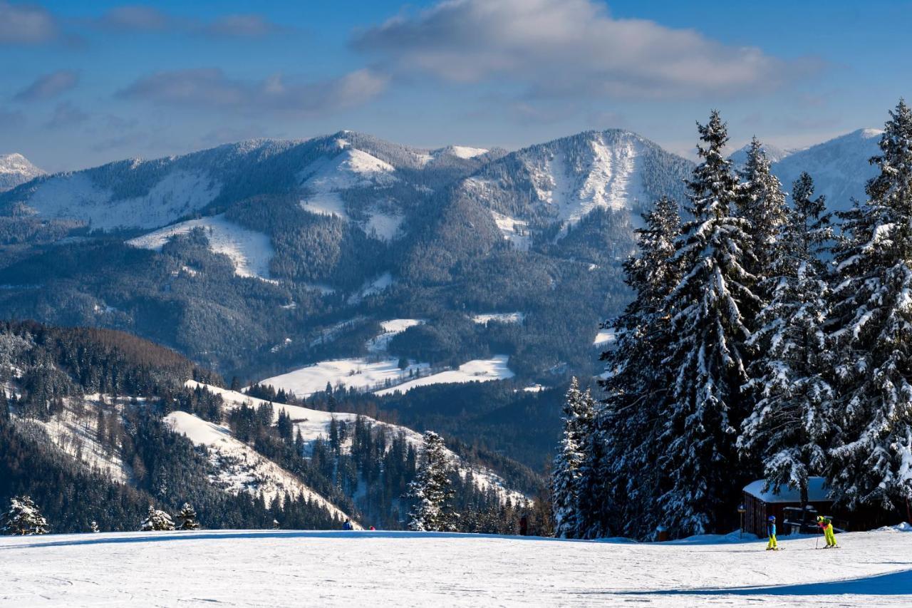 Gasthof Zum Jaegerwirt Hotel Мариацел Екстериор снимка